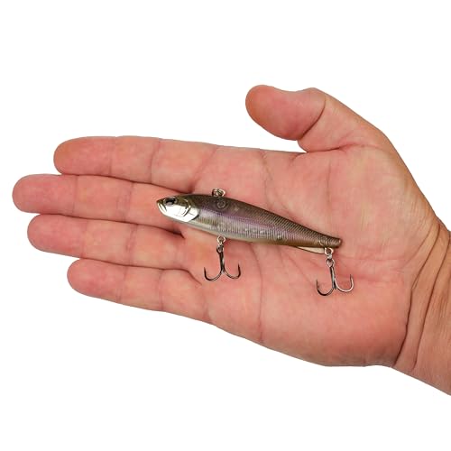 Berkley Ripfish - color: Ghost Shiner, size: 3 1/2 in - 3/4 oz