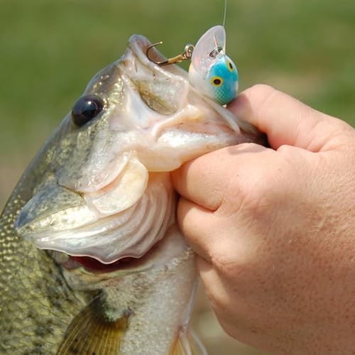 20pcs/25pcs Fishing Blanks Lures Kit Fishing Topwater Unpainted Swimbait Unpainted Crankbaits Hard Baits DIY Lure for Bass Salmon Trout Saltwater and Freshwater - color: 20PCS 2.68″/0.47oz