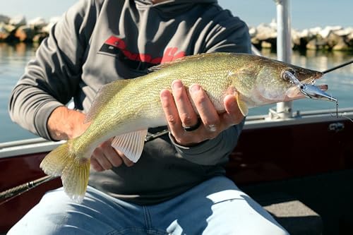 Bandit Lures Walleye Shad - color: Coconut Candy, size: WS3 (3")