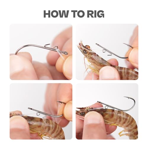 30-Pack Live Shrimp Fishing Hooks Zero Harm, Wide Gap Hooks with S/M/L Silicone Rings, 5 Sizes Assortment Pack 1/0-5/0 Freshwater Saltwater - size: 4/0 - 30Pack