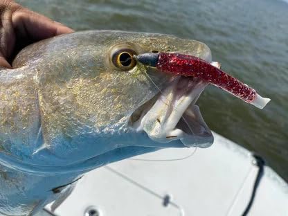 A.M. Fishing Curly Tail Jerkshad 4 Inch Soft Baits Garlic Infused,– 8 Pack – Saltwater & Freshwater Fishing Lures for Bass, Redfish, Snook, and Trout - color: Blood Diamond