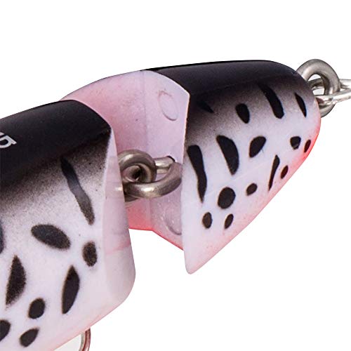 Arbogast Jitterbug Topwater Bass Fishing Lure - Excellent for Night Fishing - color: Coach Dog Orange Belly, size: 3 1/2", 5/8 oz