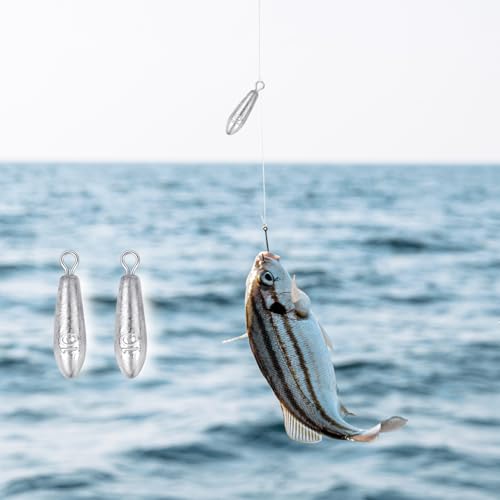 10 Pack Drop Shot Fishing Weights Kit, Drop Shot Weights, Fishing Bottom Sinkers Lead Weight for Bass Fishing Lures or Other Fish - style: 10 G / 0.35 Oz