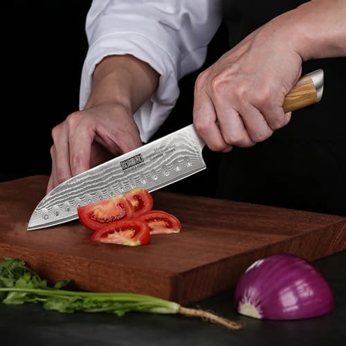 HOSHANHO Damascus Santoku Knife 7 Inch, Professional Japanese Damascus Super Steel Kitchen Knife, Sharp Cooking Knife with Durable Ergonomic Olive Wood Handle - style: 7.1 Inch Santoku Knife