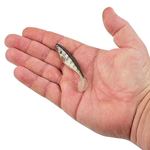 Berkley PowerBait The Champ Swimmer Fishing Soft Bait - color: HD Bluegill, size: 3"