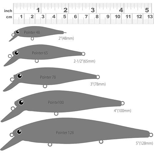Lucky Craft Fishing Lure Pointer 65 Jerk Bait