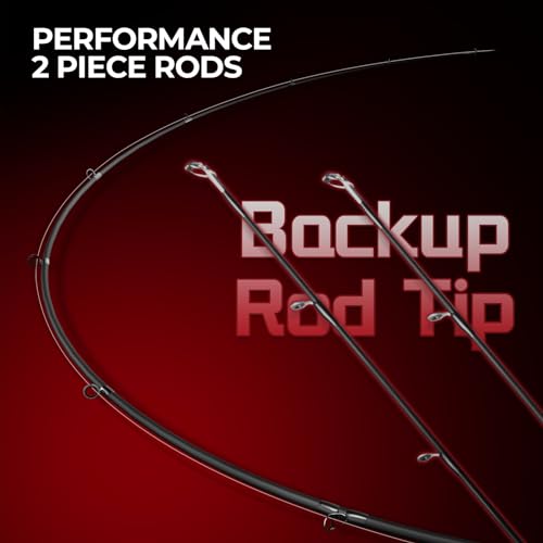 KastKing Royale Legend II Twin Tip Fishing Rod and Reel Combos, Spinning & Casting Combo, IM6 Graphite 2Pc Blanks, Extra Backup Tip Section, Stainless-Steel Guides, KastFlex Technology, EVA Handles - style: Spin: 3000 Reel, 7'3''- M Rod(2 Pcs + Extra Tips