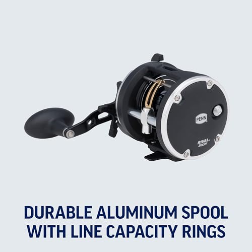 PENN Rival Level Wind Conventional Fishing Reel - size: 15 - Line Counter, style: Old Model