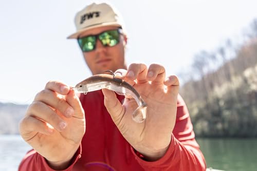 Strike King Final Copy Weedless Fishing Lure, Pre-Rigged Soft Plastic Swimbait - color: Reel Shad, size: 6"