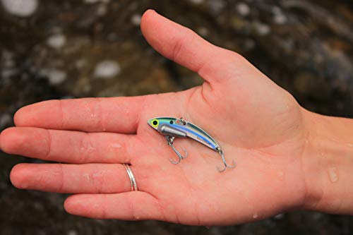 SteelShad - Mini Series (1/4 oz) - 2 Pack - Lipless Crankbait for Freshwater Fishing - Perfect for Ice Fishing, Pan Fishing, Crappie, Walleye and Bass - color: Kentucky Shad