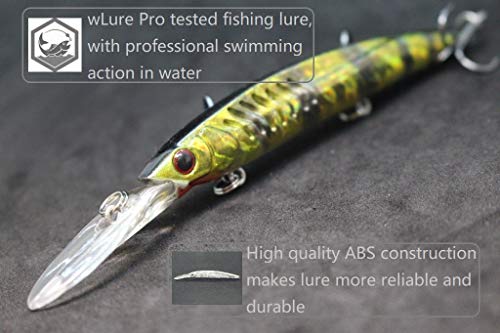 Minnow Crankbait for Bass Fishing Bass Lure Jerkbait Fishing Lures and Tackle Box - color: HM650KB