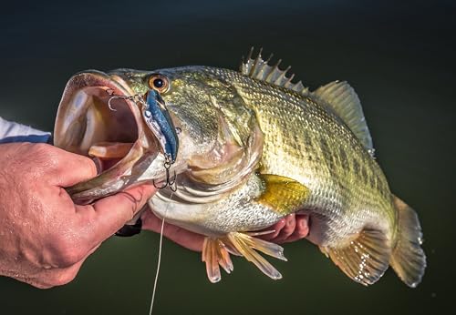 Berkley Warpig Fishing Hard Bait - color: Yellow Perch, size: 2in - 1/4 oz