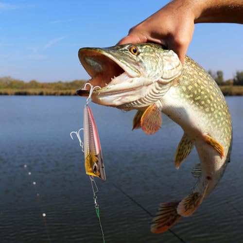Alwonder Fishing Snap Swivels, High Strength Ball Bearing Swivel with Stainless Steel Coastlock Snap 26-503LB, Black Nickel Coating Corrosion Resistance Freshwater Saltwater - size: #2-49LB-30pcs-Extra Inventory