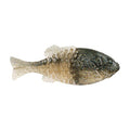 Berkley Powerbait Gilly Fishing Soft Bait - color: Blue Shiner Gold, size: 90mm
