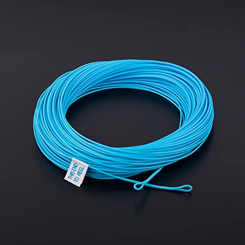 HERCULES Fly Fishing Line Floating Weight Forward Fly Line with Double Welded Loop - color: Teal Blue, size: WF8F 100FT