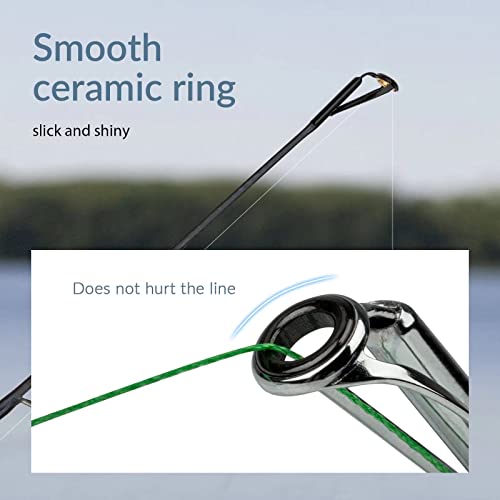 THKFISH Rod Tip Repair Kit 50pcs Rod Tips Fishing Rod Tips Replacement Kit Pole Tip Repair Kit with Box 10 Sizes - color: A-50pcs