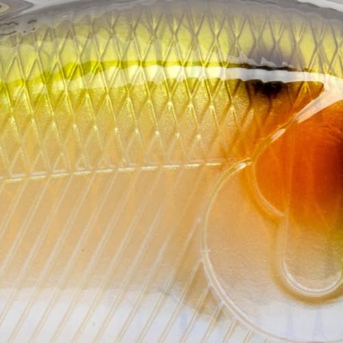 Strike King Hybrid Hunter Jr. Crankbait - color: Ghost Herring