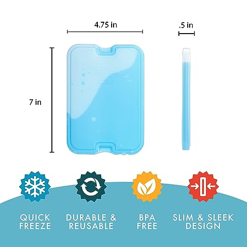 Cool Coolers by Fit & Fresh 4 Pack XL Slim Ice Packs, Quick Freeze Space Saving Reusable Ice Packs for Lunch Boxes or Coolers - color: Green (4 Pack)