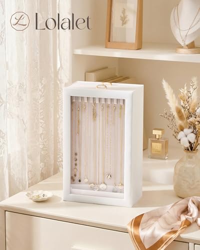 Lolalet Upgraded Double-Sided Hanging Necklace Organizer Box, Jewelry Display Case with Double-Sided Clear Window for Necklaces Bracelets, Tangle-Free Necklace Storage Box, White, 2-Layer 40 Hooks - color: White, size: 2-Layer, 40 Hooks