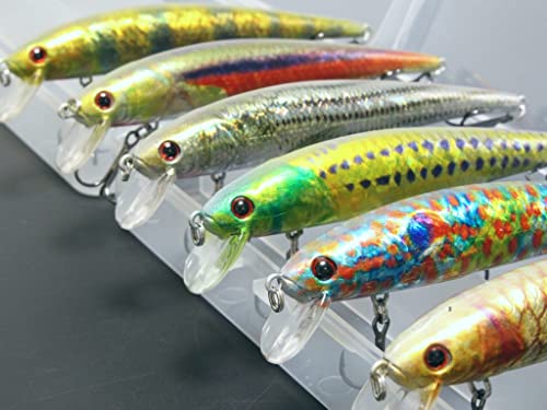 Minnow Crankbait for Bass Fishing Bass Lure Jerkbait Fishing Lures and Tackle Box - color: HM509KB