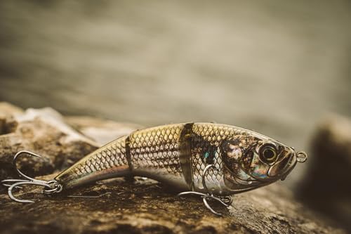 6th Sense – Speed Pump Saltwater Swimbait Fishing Lure, Jointed Hard Bait with Natural Swimming Action - color: Live HD Mullet, size: 5in. (1.50oz.)