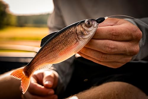 6th Sense - Panorama Sampler Pack - Multi-Size Soft Swimbait Bundle for Bass, Crappie, and Multi-Species Fishing