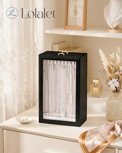 Lolalet Upgraded Double-Sided Hanging Necklace Organizer Box, Jewelry Display Case with Double-Sided Clear Window for Necklaces Bracelets, Tangle-Free Necklace Storage Box, Black, 2-Layer 40 Hooks - color: Black, size: 2-Layer, 40 Hooks