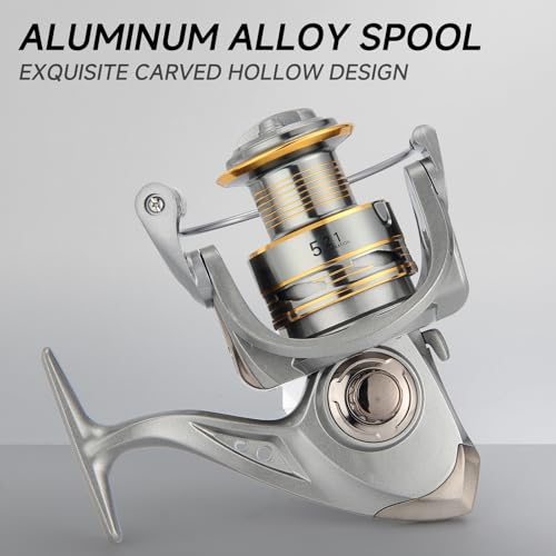 HAUT TON Spinning Reel 8000/9000/10000/12000/14000,6+1BB Metal Surf Fishing Reels,4.8:1 Gear Ratio 55lbs Drag Heavy Long Casting Inshore Saltwater Monster Fish - size: 4000, style: Ht-ngk