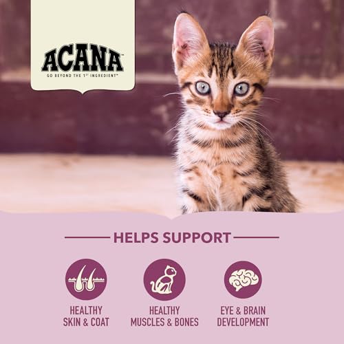 ACANA Dry Cat Food for Kittens First Feast Chicken and Fish 7lb Bag - size: 7 Pound (Pack of 1)