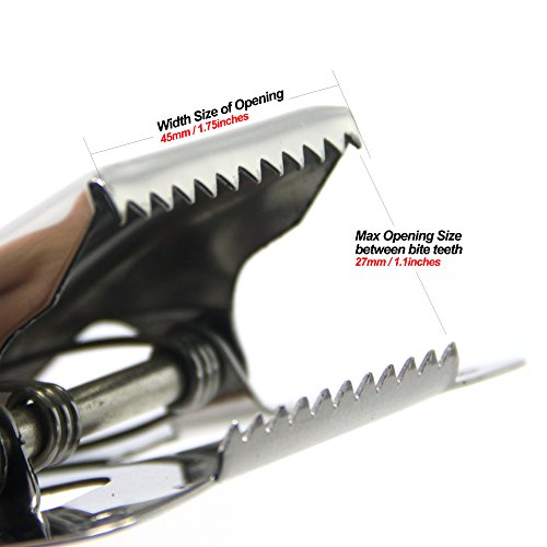 SAMSFX Fish Cleaning Board Tools Fillet Clamp w/Screws Deep-Jaw Fish Tail Clip Board for Scaling Table Bait (Fish Clamp) - color: Fish Clamp
