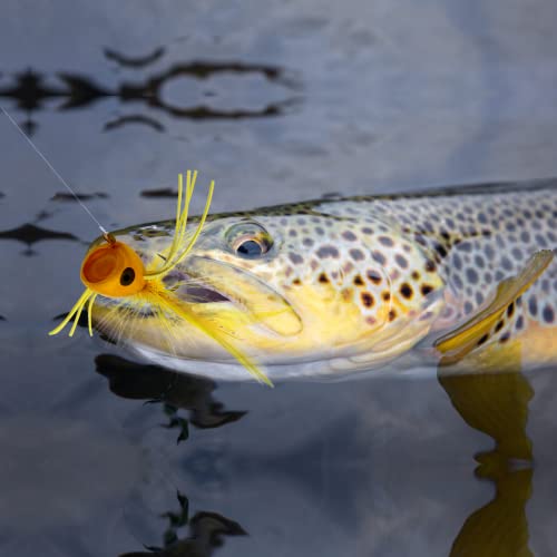 Fly Fishing Poppers, Topwater Fishing Lures Bass Crappie Bluegill Sunfish Panfish Trout Salmon Perch Steelhead Flies for Fly Fishing Bass Panfish Bluegill Trout Salmon - color: 20pcs