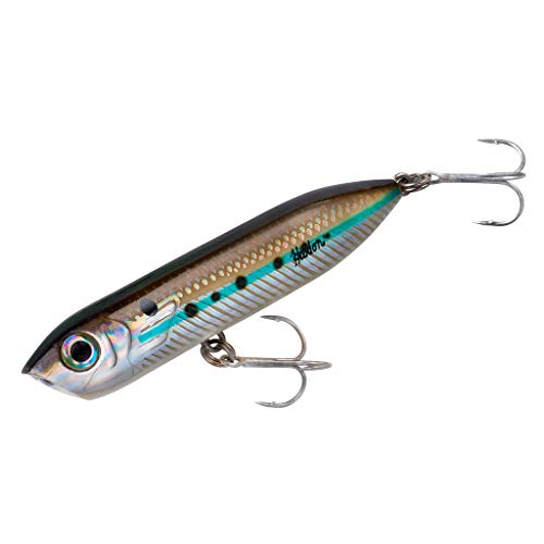 Heddon Chug'N Spook Popper Topwater Fishing Lure for Saltwater and Freshwater - color: Silver Mullet, size: Chug'N Spook Jr (1/2 oz)