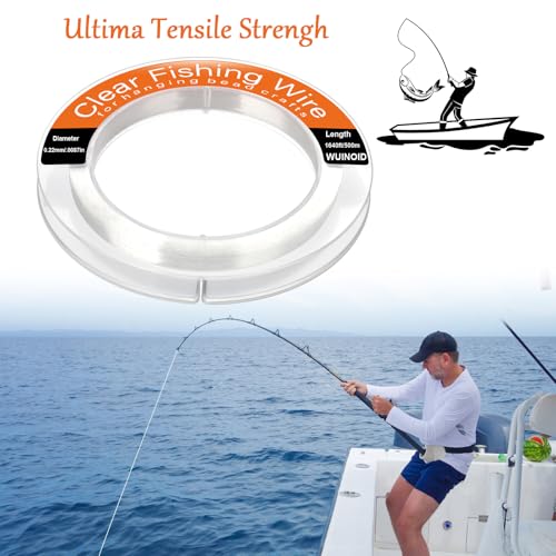 Clear Fishing Line Wire 755 ft, Invisible Monofilament Fishing Line Wire, Nylon String for Hanging Balloons Garland Crafts Picture Decorations, Clear String Threads Cords WUINOID - style: 0.22mm/1640ft