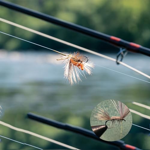 EUPHENG Barbless Fly Fishing Hooks Dry Nymph Wet Shrimp Jig Hooks for Fly Tying Assorted with Waterproof Hook Box - style: 9214-dry Hooks Qty 200