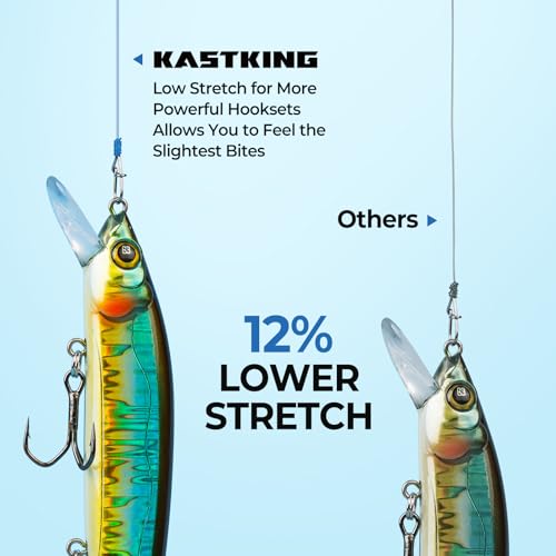 KastKing World's Premium Monofilament Fishing Line - Paralleled Roll Track - Strong and Abrasion Resistant Mono Line - Superior Nylon Material Fishing Line - 2015 ICAST Award Winning Manufacturer - color: A:Blue Camo, size: 300Yds/8LB