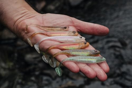 Nomad Design Spectre Minnow 3.25" Internal Foil System, Soft Paddletail - (5 Pack) - Live Ops for Fresh or Saltwater Inshore Species - color: Silver Shad