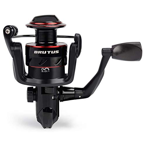 KastKing Brutus Spinning Reel, Freshwater Spinning Fishing Reels, Graphite Frame, CNC Aluminum Spool, 5.2:1 Gear Ratio, 4+1 Ball Bearings - style: 4000