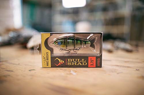 Catch Co Mike Bucca Baby Bull Shad Swimbait 3.75" 1/2 oz - color: Gizzard Shad