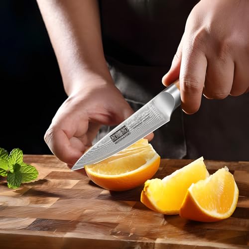 HOSHANHO Damascus Paring Knife 3.75 Inch, Professional 67 Layers Damascus Super Steel Small Fruit Knife, Super Sharp Hand Forged Japanese Paring Knife - style: 3.75 inch Paring Knife
