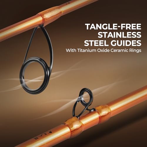 KastKing Lethal Blaze Twin-tip Fishing Rod and Reel Combo, Spinning & Baitcaster Combo, Flame Pattern Design, IM6 Graphite 2Pc Rod with Backup Tip Section, Stainless-Steel Guides, EVA Handle - style: Spin-6'8" Ml-2000 Reel (2pcs+extra Tip)