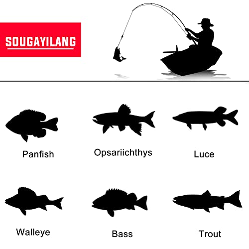 Sougayilang Fishing Pole with Spinning Reel Portable Fishing Rod Reel Combos - size: 2.4M/7.87FT Rod with 3000 Reel, style: Full Kits With Bag