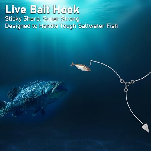 Dr.Fish 30 Pack Circle Hooks 3X Strong in-Line for Saltwater & Freshwater, Live Bait Non-Offset Fishing Hooks for Striper, Catfish, Mackerel, Bass, Tuna - size: #6/0-30 Pack