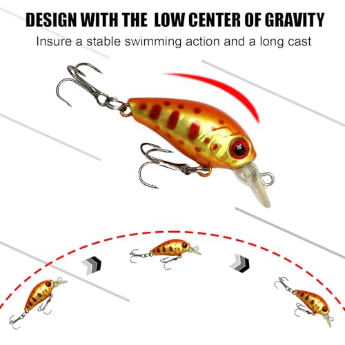Top Water Fishing Lures Kit, 6 PCS Micro Fishing Lure Crankbaits Baits with 2 Hooks 3D Eyes Bait for Saltwater Freshwater Bass Trout Catfish Pike Perch - color: B