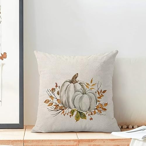 Autumn Fall Pillow Covers 18 X 18 Inch Set of 2, White and Grey Pumpkins Orange Flowers Throw Pillow Covers Farmhouse Thanksgiving Harvest Decorative Autumn Pillows for Couch Home Sofa Outdoor - color: Pumpkin3, size: 18" x 18" (Pack of 1)