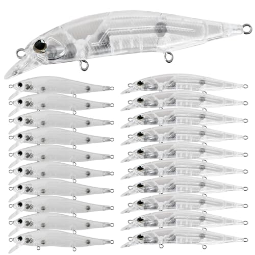 10pcs/20pcs Fishing Blanks Lures Kit Fishing Topwater Unpainted Swimbait Unpainted Crankbaits Hard Baits DIY Lure for Bass Salmon Trout Saltwater and Freshwater - color: E: 20pcs 0.4oz/11.5g and 0.51oz/14.6g