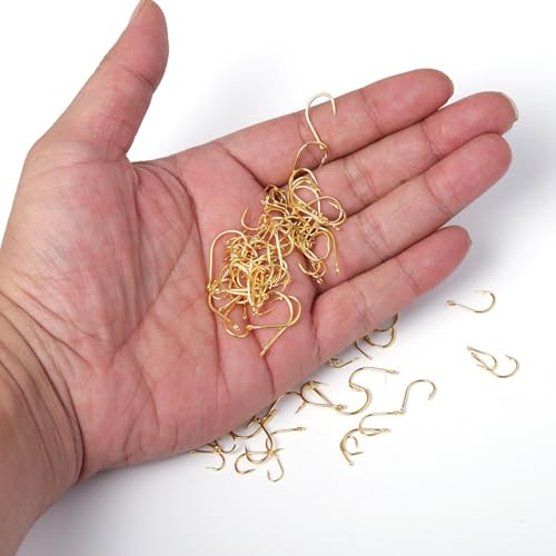Dyxssm Small Fishing Hooks for Freshwater, 1000pcs 600pcs 400pcs Trout Fish Hook Set, 10 Sizes #2-#20 - color: Gold, style: 400pcs (#2-#20)