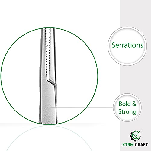 Precision Kelly Hemostat Forceps Locking Tweezers Clamp, Silver, Straight and Curved Stainless Steel (Curved, 8") - size: 8", style: Curved