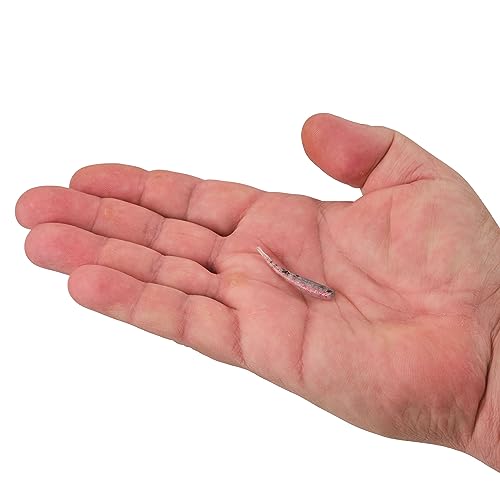 Berkley Gulp! Minnow Fishing Soft Bait - color: Rainbow Trout, size: 1"