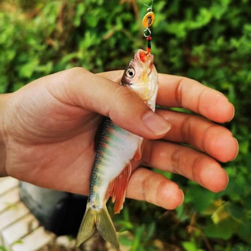Dovesun Fly Fishing Lures Fly Fishing Flies Wet Fishing Flies Fishing Lures Fishing Spinner for Bass Sunfish Pike Trout 5PCS/10PCS - color: Mosquito-5pcs, size: Hook Size 14#