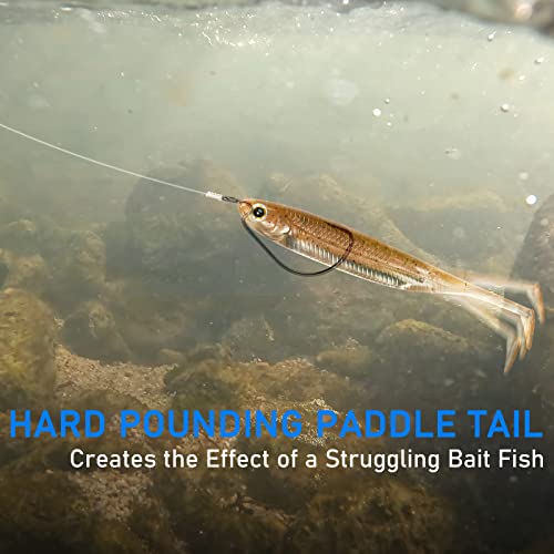 Dr.Fish Paddle Tail Swimbaits, Soft Fishing Lures for Bass Fishing 2.75-4.75 Inches, Freshwater & Saltwater Soft Plastic Baits Swim Shad Bait Minnow Lures Drop Shot - color: Coffee, size: 3.93"-5 Pack